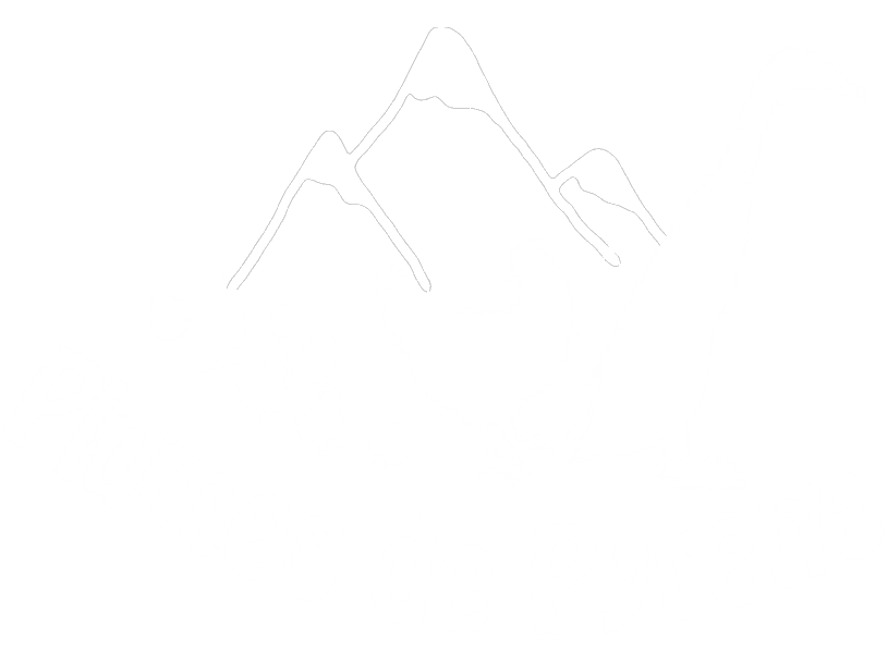 Logo Plumes de Pyrène